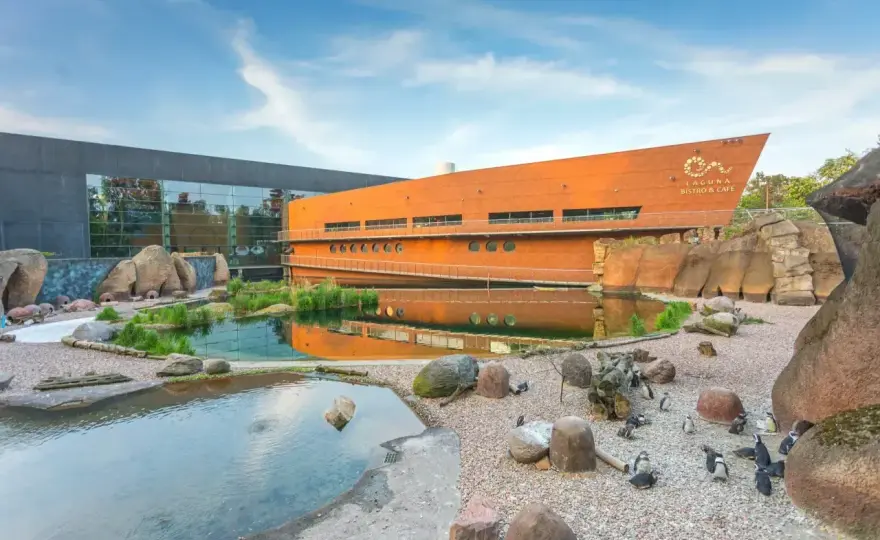 Afrykarium Wrocław - Cennik biletów. Jak nie przepłacić?