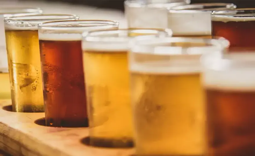 35 IBU im Bier - Was bedeutet das wirklich?