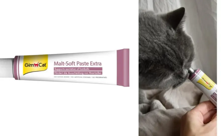 Pasta de malta para gatos - ¿Funciona de verdad?