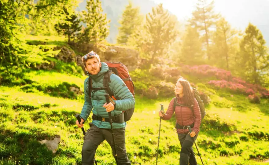 Karpaty - jaki to typ gór i co warto o nich wiedzieć?