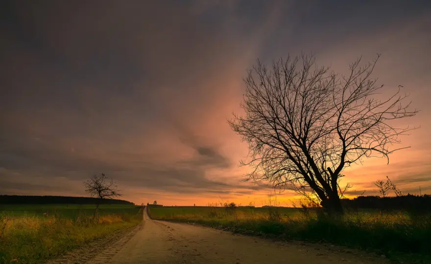 Kompozycja w fotografii - Jak budować kadry, które przyciągają wzrok?