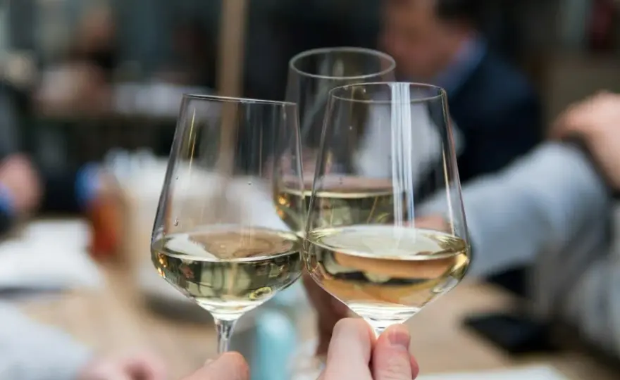 Sauvignon Blanc trocken - Wie er wirklich schmeckt & was du wissen musst
