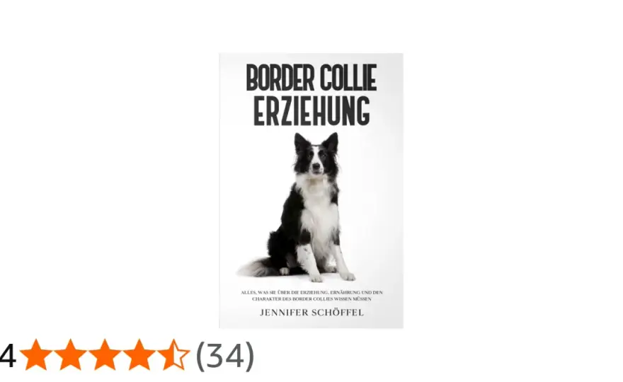 Border Collie verstehen - Wesen, Erziehung und Alltag