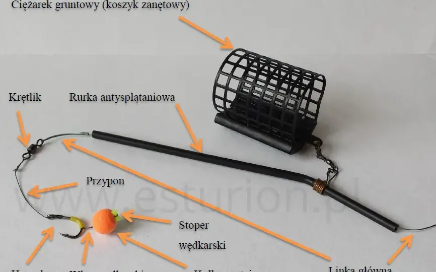 Pierwszy zestaw wędkarski: jak skompletować i zacząć łowić?