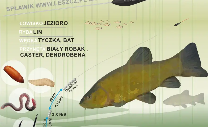 Jaki spławik na lina? Wybierz idealny i łów skuteczniej!