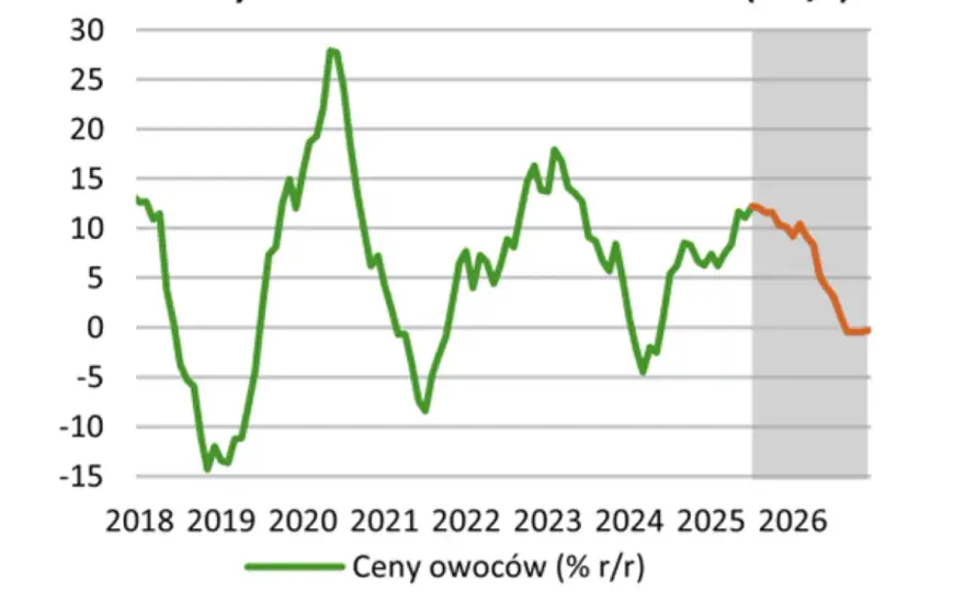 Prognozy cen truskawek 2026: Czy rekord 10 zł/kg się powtórzy?