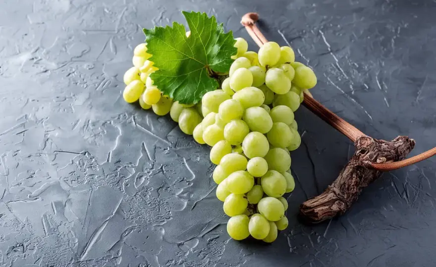 Chardonnay verstehen - Stil, Ausbau und passende Speisen