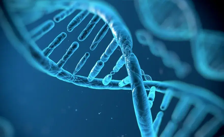 Biologia: Czym jest genetyka i dlaczego ma znaczenie dla życia?