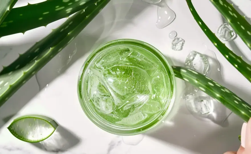 Balsam aloe vera - Najlepszy aloe vera balsam na rynku? Sprawdź efekty