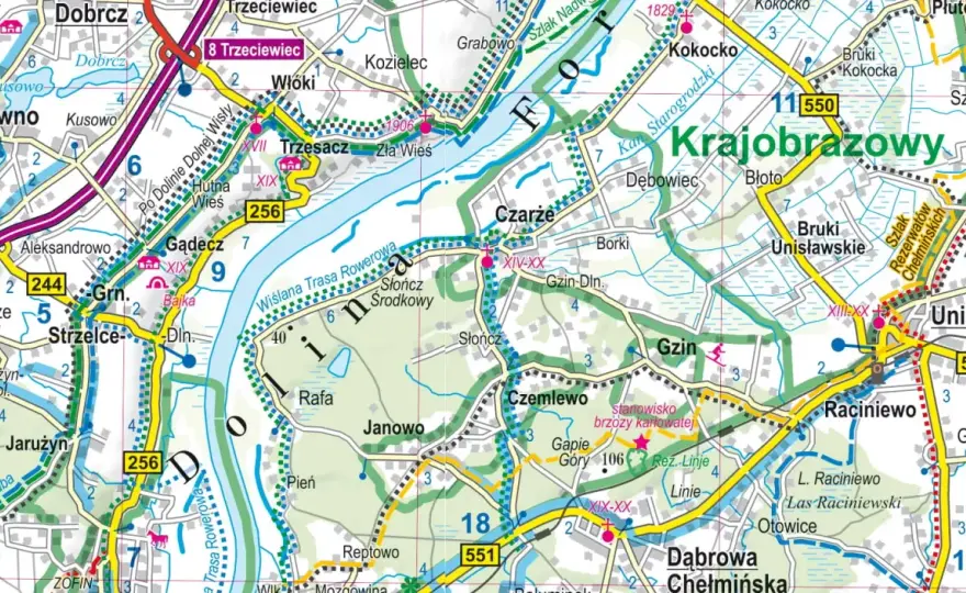 Gdzie leżą Bory Tucholskie? Mapa regionu i punkty startowe