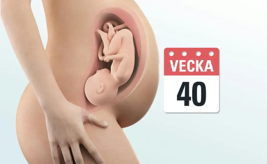 Gravidvecka 40 - vad som är normalt och när det är dags att ringa