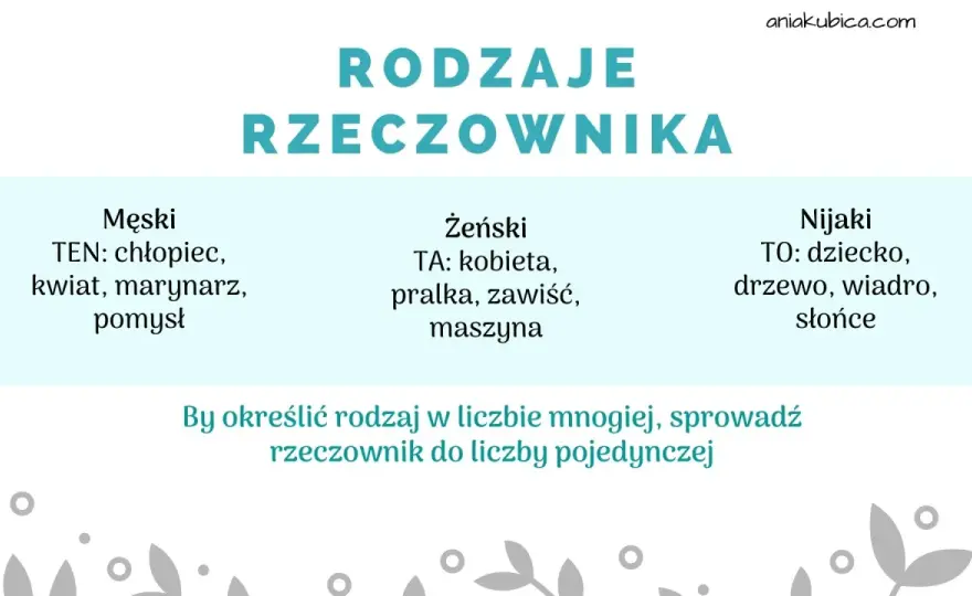 Rodzaje rzeczownika - Zrozum gramatykę bez chaosu!