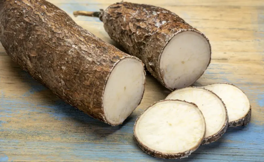 Manioc parfait - Les secrets d'un accompagnement réussi