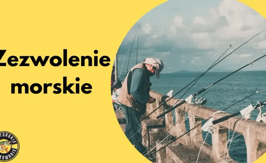 Jak legalnie wędkować na Jeziorze Żywieckim? Ceny i zasady 2026