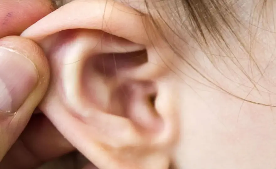 Cetraxal Plus - kiedy pomaga i jak go podawać?