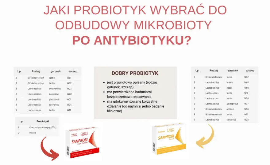 Probiotyk przy antybiotyku - Jak wybrać i stosować skutecznie?