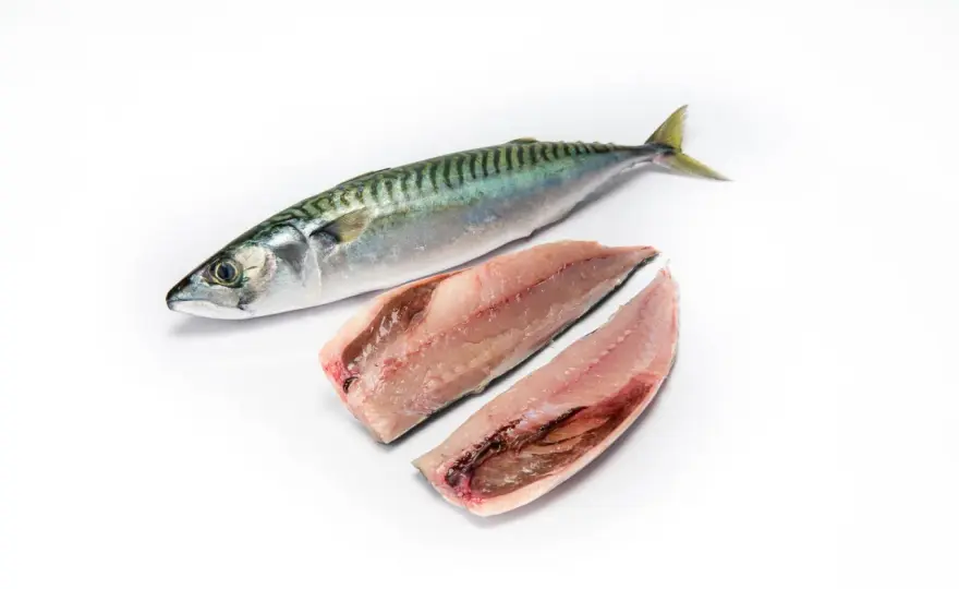 Caballa, el pescado azul que merece más sitio en tu cocina