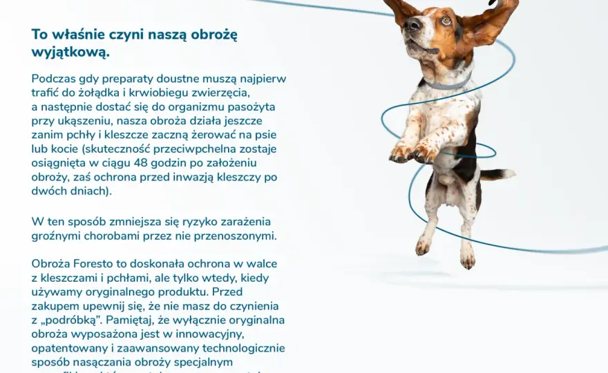 Obroża Foresto - czy jest szkodliwa dla psa i ludzi? Sprawdź ryzyko