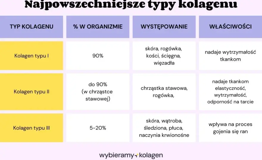 Jaki kolagen wybrać? Typ I, II, III - Poradnik wyboru