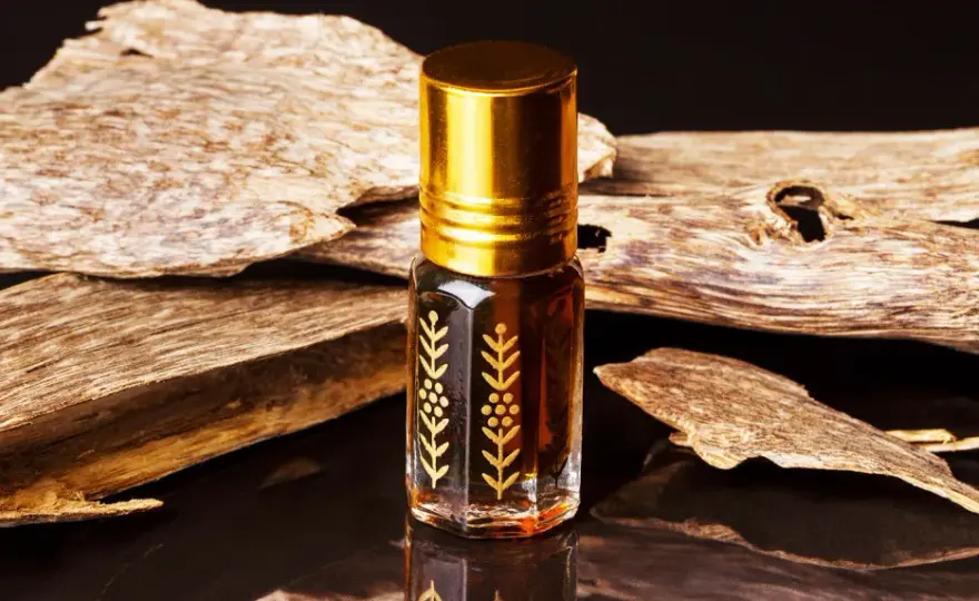 Oud Parfum: Was es ist, wie es riecht & warum es so teuer ist