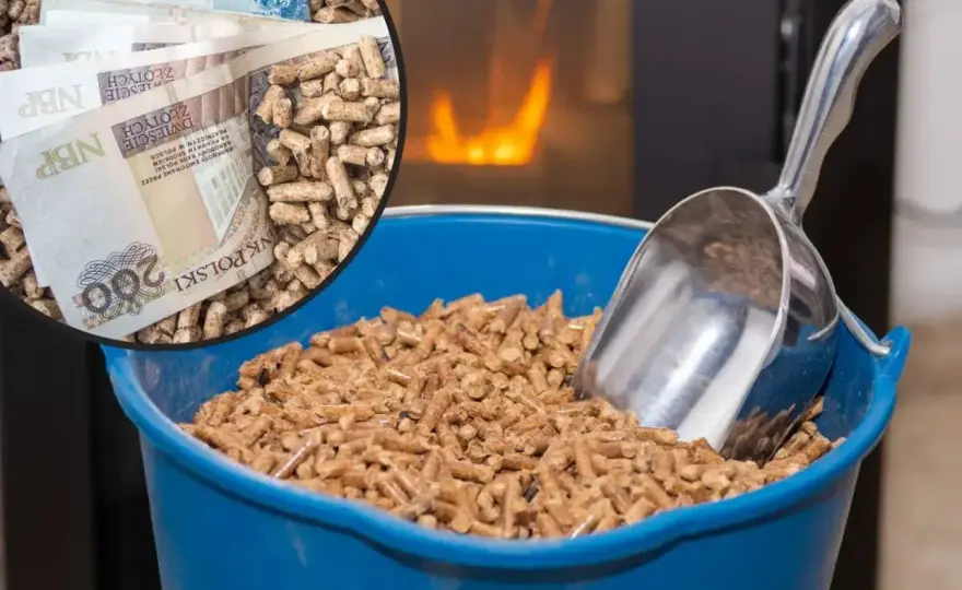 Ile trocin na 1 tonę pelletu? Prawdziwe przeliczniki!