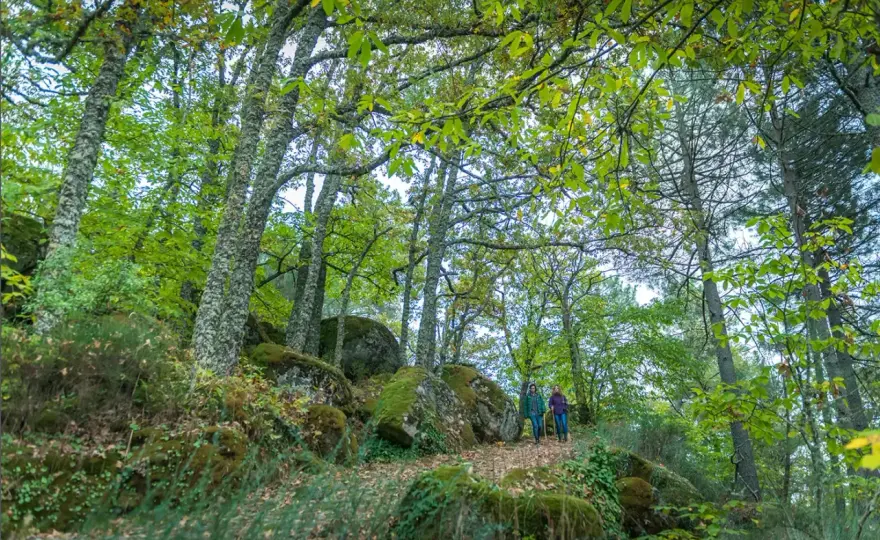 Bosque de los Espejos - Arte y naturaleza en Sierra de Francia