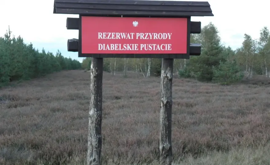 Rezerwat przyrody Diabelskie Pustacie - piękno wrzosowisk i szlaków