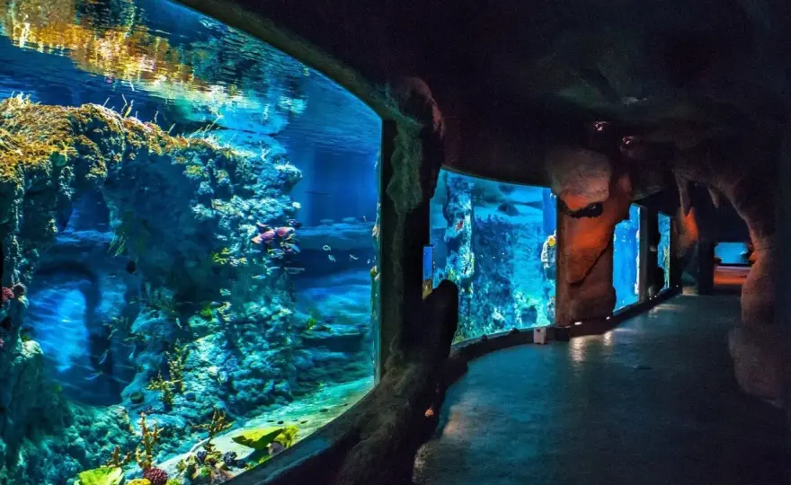 Oceanarium Świnoujście - co warto wiedzieć przed wizytą?