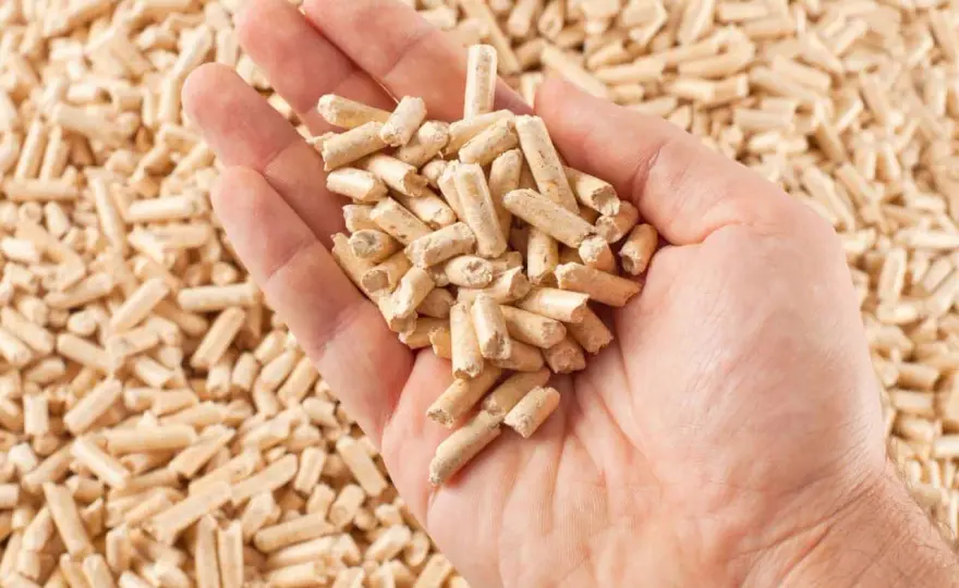 Pellet - Ile kosztuje tona i jak kupić rozsądnie?
