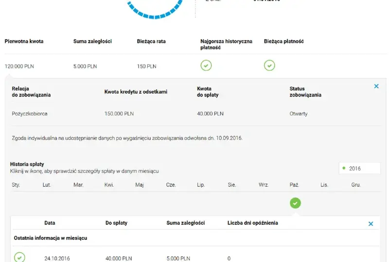 Raport BIK czy warto? Odkryj korzyści i pułapki sprawdzania