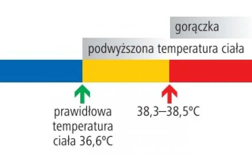 Gorączka u dzieci: kiedy konieczna jest wizyta u lekarza?