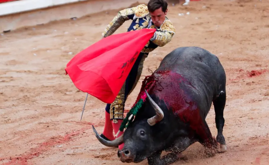 Origen de la Tauromaquia - ¿Tradición o espectáculo moderno?