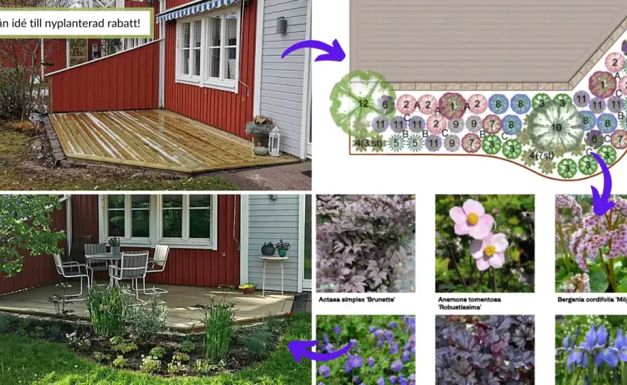 Anlägga rabatt som håller - så väljer du växter och struktur
