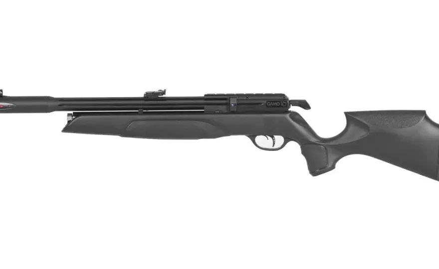 Gamo Black Bear - Czy to wiatrówka dla Ciebie? Analiza 2026