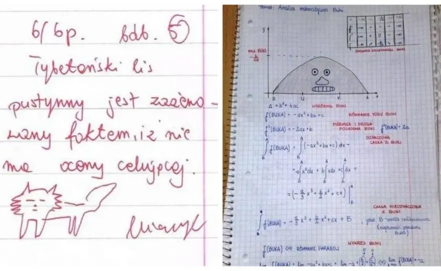 Cięte riposty - 100 przykładów. Odpowiadaj z klasą!