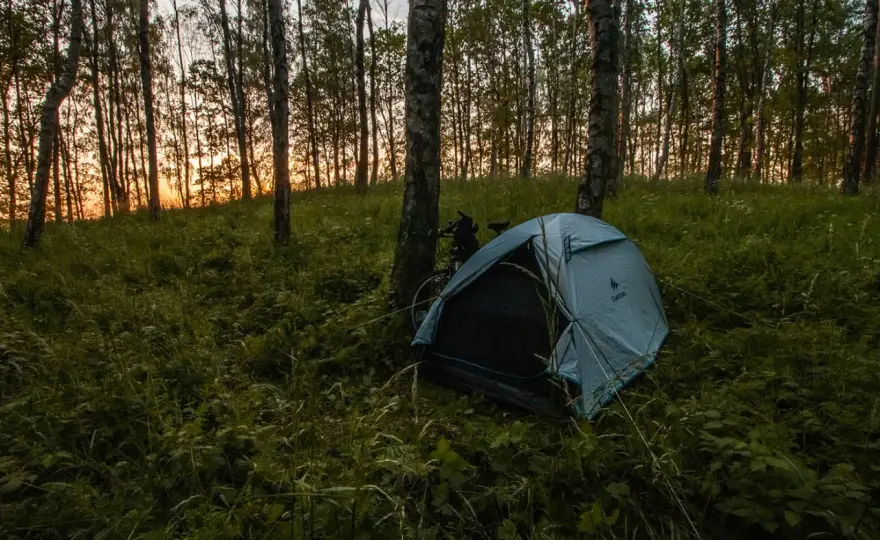 Mandat za spanie na dziko - Kiedy grozi i jak go uniknąć?