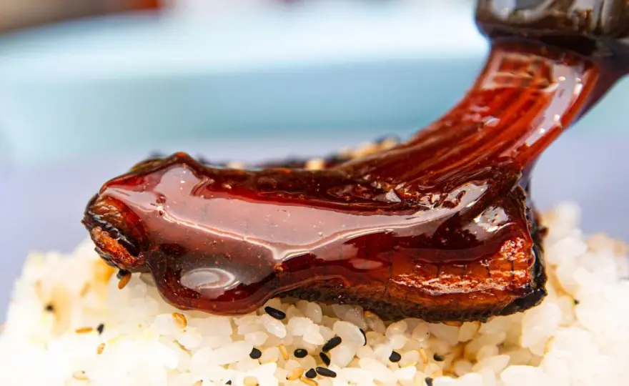 Eel Sauce - What It Is & How to Use This Japanese Glaze