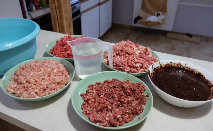 BARF dla kota - Czy to naprawdę najlepsza dieta?