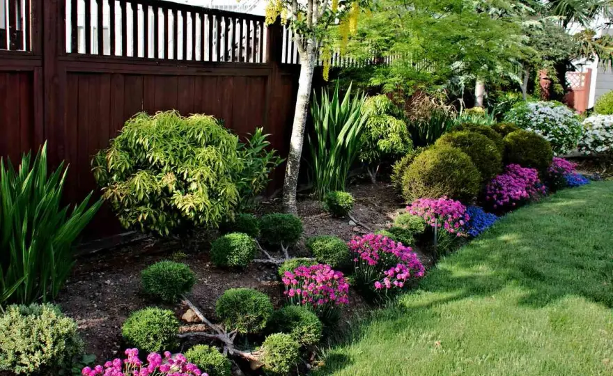Arbustes persistants pour l'ombre - Sublimez votre jardin au nord