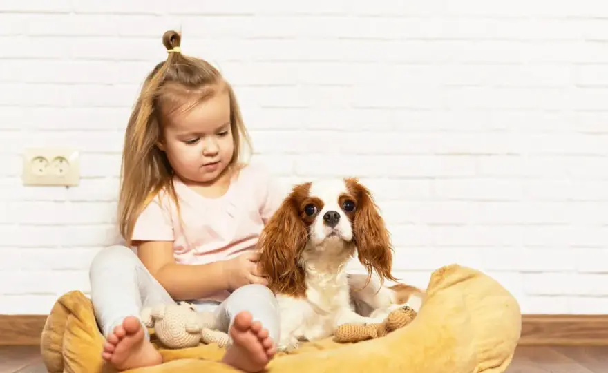 Najlepszy pies dla dziecka? Rasy, koszty i porady dla rodziców