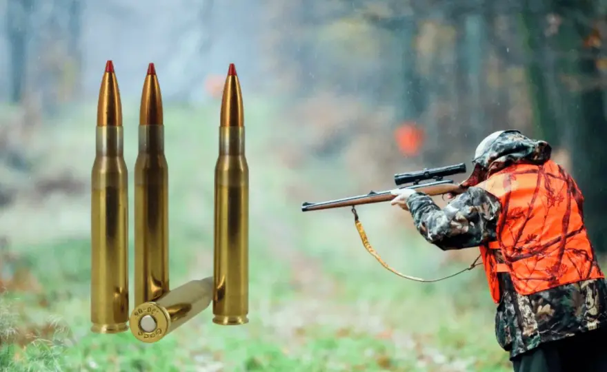 Calibre de chasse - Le guide pour bien choisir en France