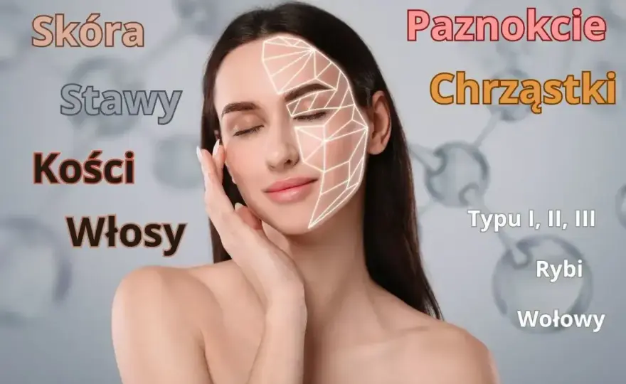 Kolagen na stawy - Czy naprawdę działa? Sprawdź, zanim kupisz!