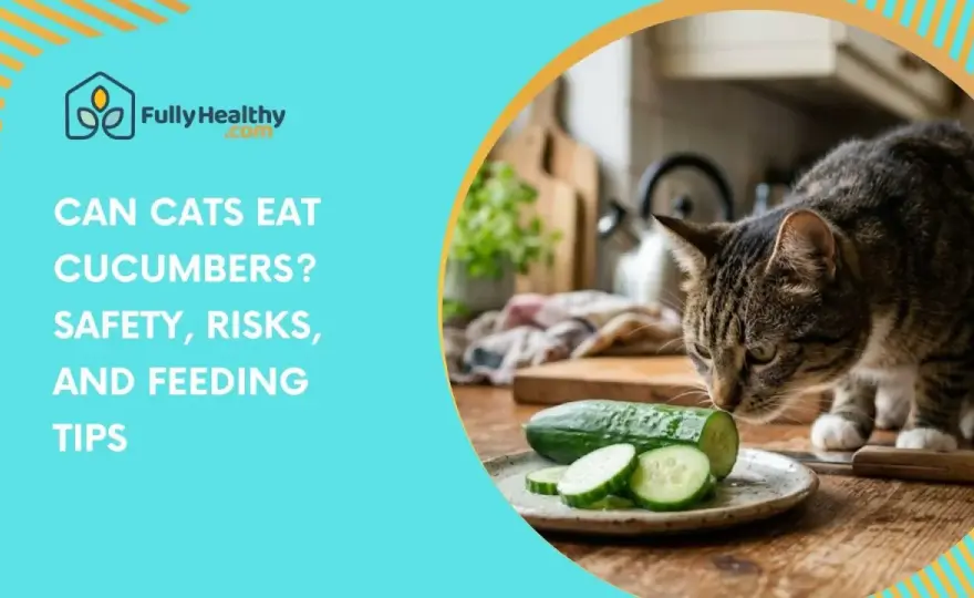 Can Cats Eat Cucumbers? The Safe Way to Share Snacks