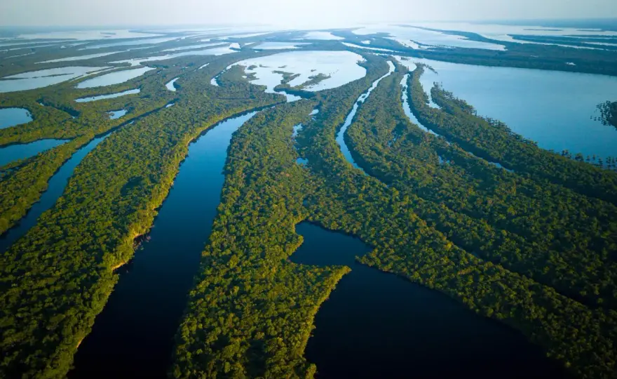 Amazonia - Jak zaplanować podróż? Mapa, bazy, błędy