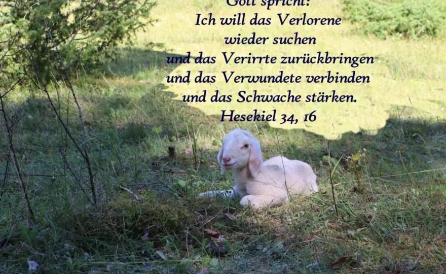Johannes 14 - Trost in unsicheren Zeiten finden