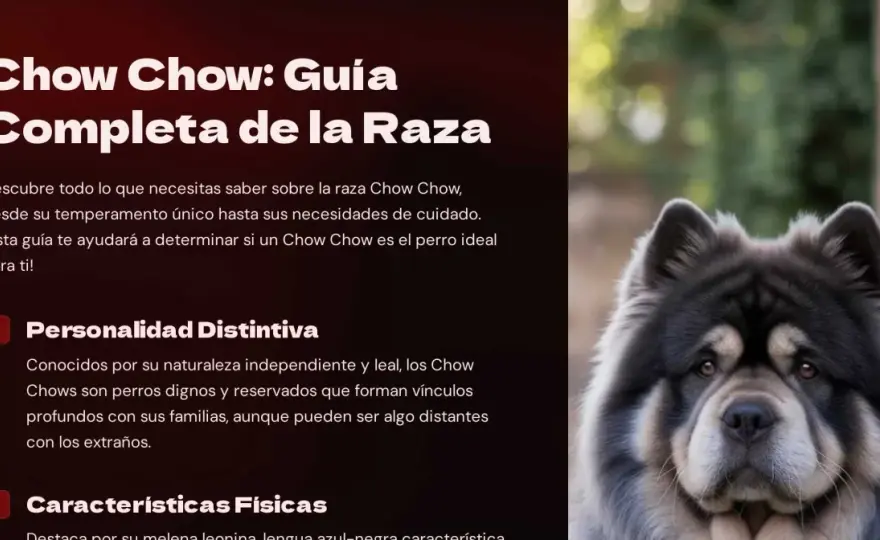 Chow Chow - ¿Es tu perro ideal? Guía completa de la raza