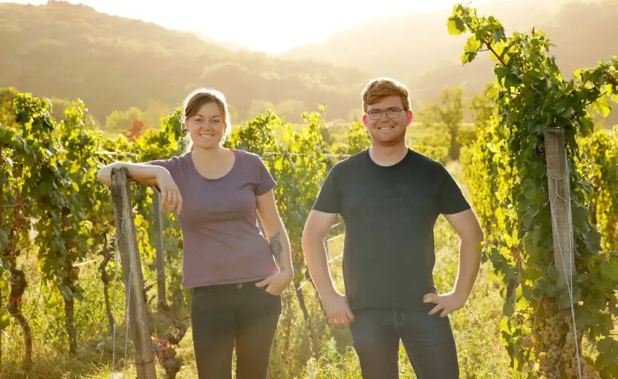 Pfalz Weingüter Guide - So findest du den besten Wein