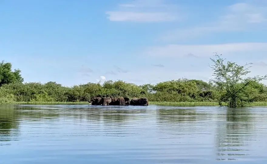 Zambezi Region Namibia - Wasser statt Wüste erleben