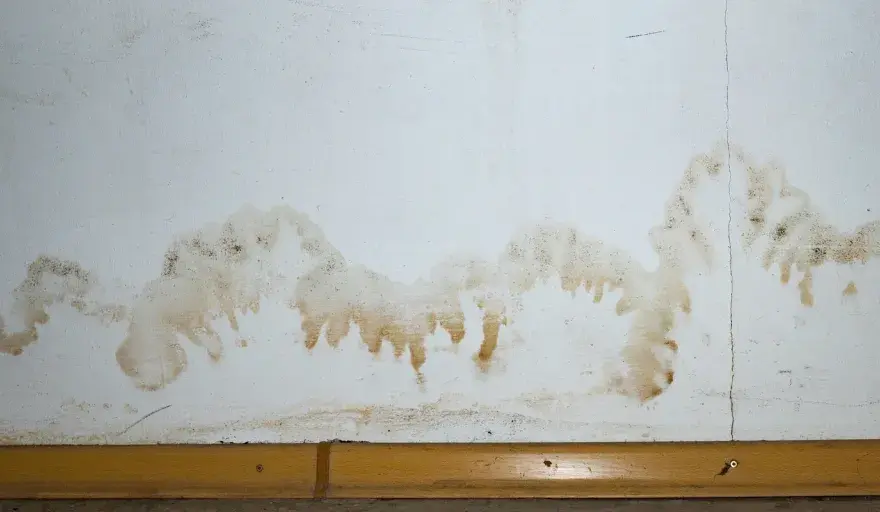 Wasserschaden an der Wand - Soforthilfe & dauerhafte Lösung