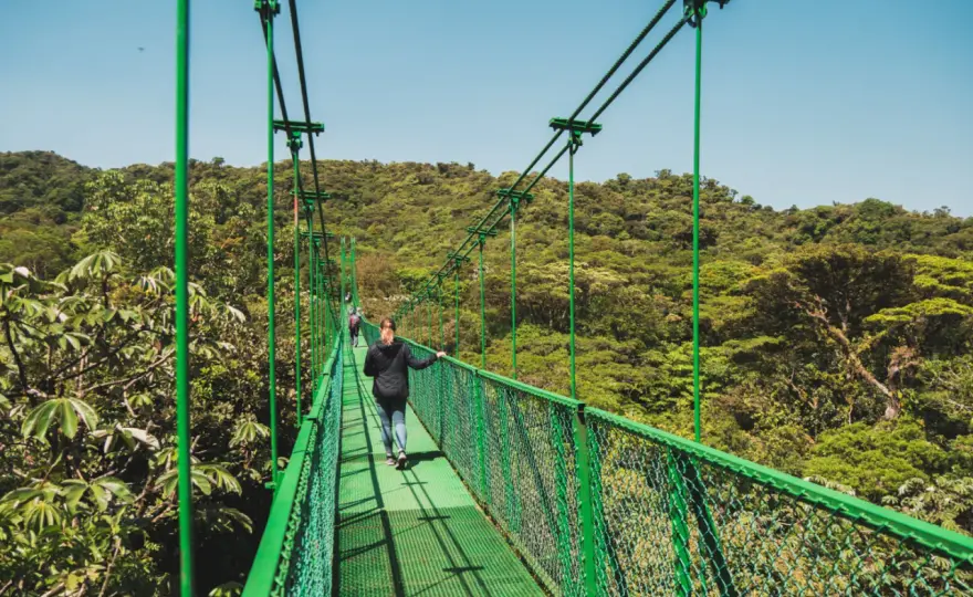 Monteverde in Costa Rica erleben - Nebelwald, Hängebrücken, Tipps